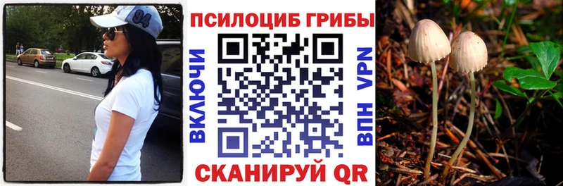 Галлюциногенные грибы Psilocybine cubensis  купить  сайты  Волосово 