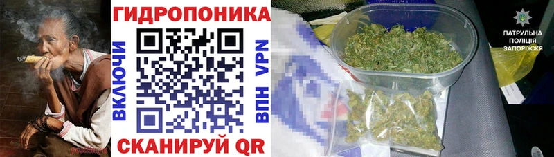 даркнет сайт  Волосово  Бошки марихуана ГИДРОПОН 